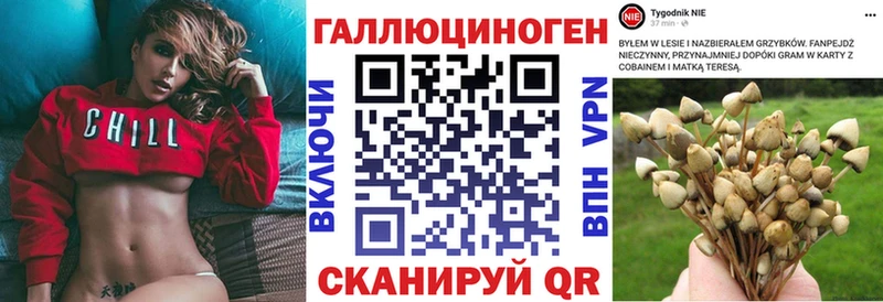 Купить закладки  Катайск  Галлюциногенные грибы Psilocybine cubensis 